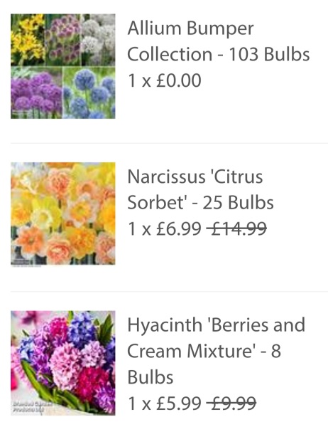 Which Spring Bulbs have you bought so far?