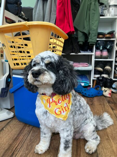 Show me you groom-day pics!