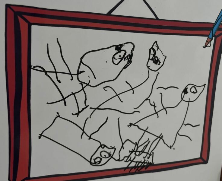What age child drew this photo?