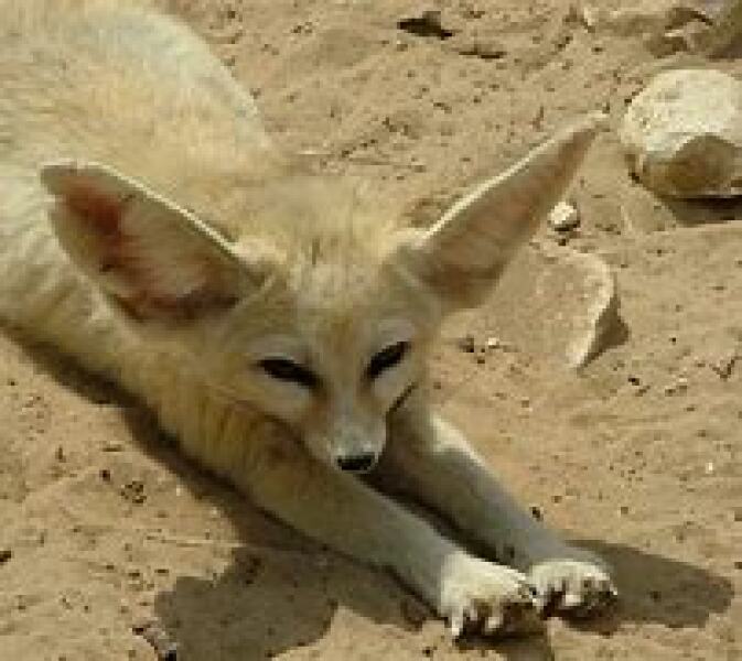 The Bluestocking - holding the line and losing the thread