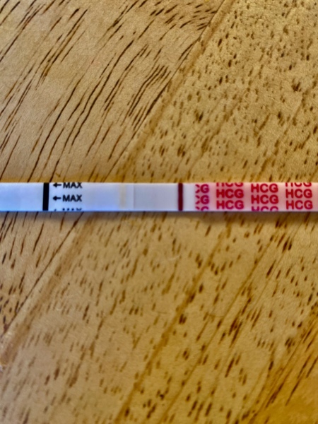 TTC TWW August/September 2025