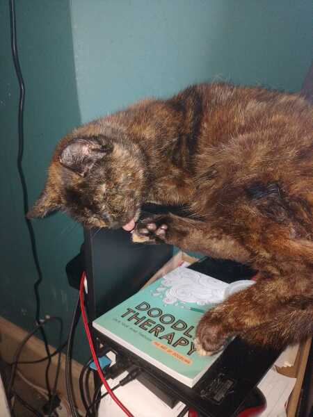 The One after the One where the Excellent Cats posed for a calendar