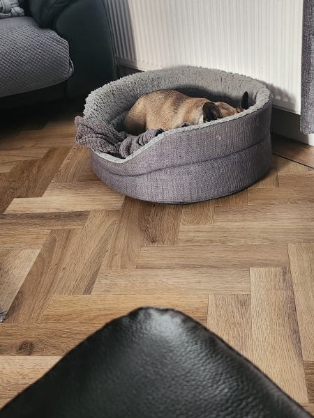 Due November after loss