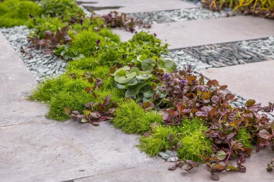 Cost of turning front garden into driveway?