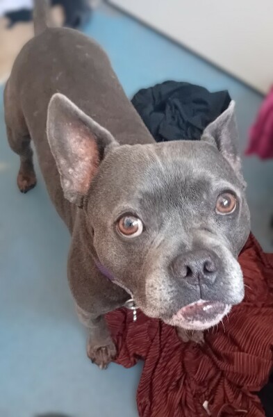 Continuing support thread for those trying to live an alcohol free life - summer 2025