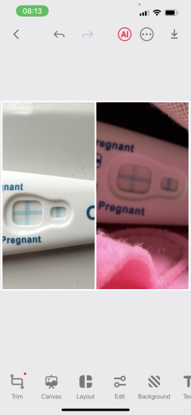 Line progression 13 & 15 DPO