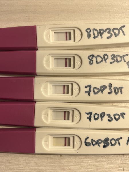 After failure, heartbreak, and surgery… finally my two pink lines