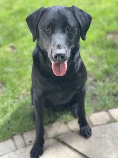 Show me you groom-day pics!
