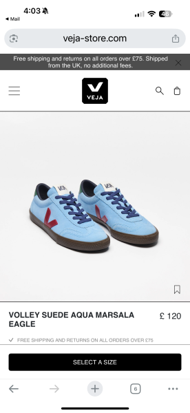 Trainers  for wedding outfit/ trendy / comfy