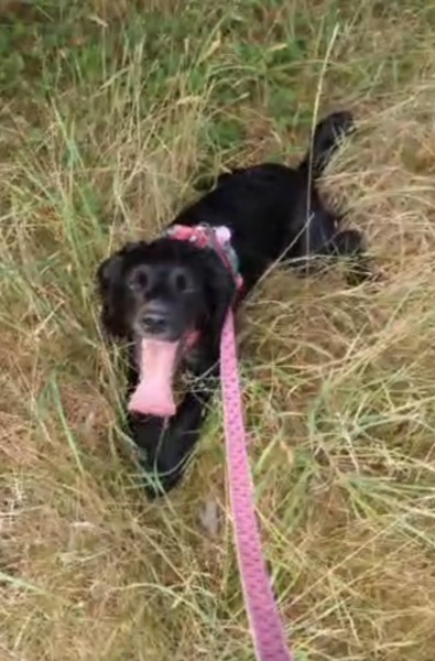 Our Cosmic Autumn Rebellion (Adolescent Support Group)