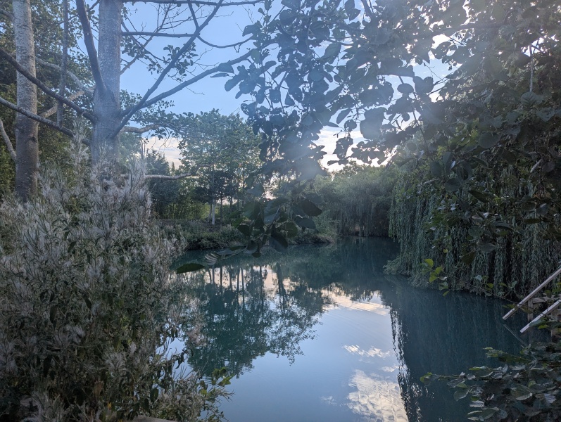 Year round Nigel Slater discussion thread Part 2