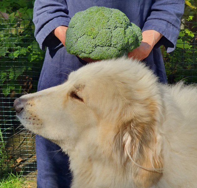 Our Cosmic Autumn Rebellion (Adolescent Support Group)