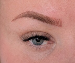 Microblading/combo brows HELP.