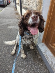 Our Cosmic Autumn Rebellion (Adolescent Support Group)