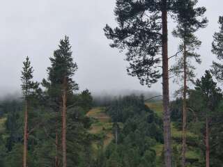 Year round Nigel Slater discussion thread Part 2