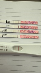 August TTC thread ❤️