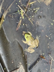 Come and tell us your dull and unexciting news 34: Calmly through the day