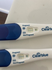 Is this positive or negative ? Not full thick line