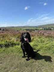 Our Cosmic Autumn Rebellion (Adolescent Support Group)