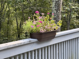 Come and tell us your dull and unexciting news 34: Calmly through the day