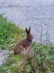 Year round Nigel Slater discussion thread Part 2