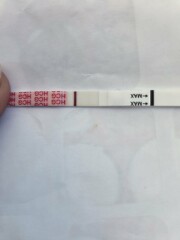 Tww anyone see a line