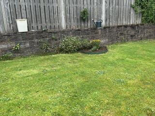 Flower bed advice