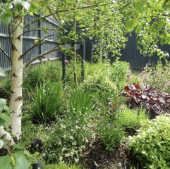 Green paint for fence around small garden