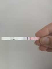 20dpo and concerned tests are not dark enough or progressing
