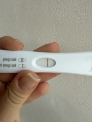 Does it look like a viable pregnancy?