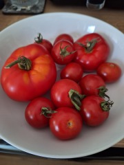 Year round Nigel Slater discussion thread Part 2