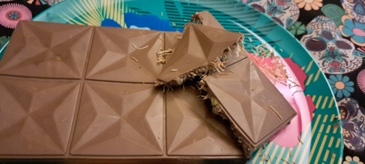 The Bluestocking Pub - Withered Old Haggis edition.