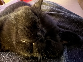 I need to share a secret...