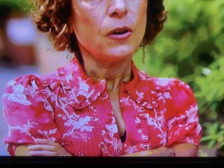 Help me find this stunning raspberry dress