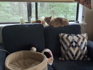 Come and tell us your dull and unexciting news 34: Calmly through the day