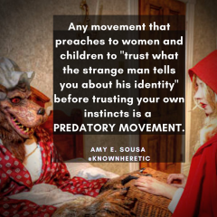 What would you actually do if you saw a transperson in the wrong toilet/changing room for their sex?