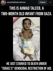 Many pro-Palestinians DO actually support Hamas