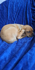 Saying goodbye on Wednesday