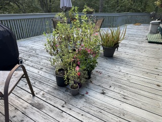 Come and tell us your dull and unexciting news 34: Calmly through the day