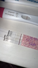 August TTC thread ❤️