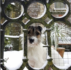 Thread 13: To feel disappointed after reading this in The Observer about the author and her husband from The Salt Path book and film?