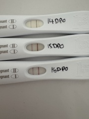 16DPO could this be a chemical?