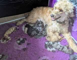 What are you up to today if you have chronic illness?