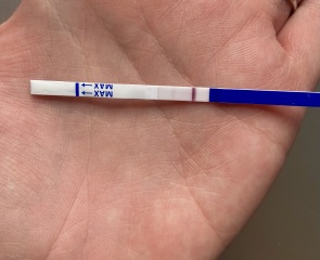 Help! Am I pregnant?! Getting mix of positive and negative tests
