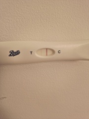 12 days post FET test