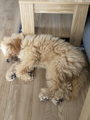 Show me you groom-day pics!