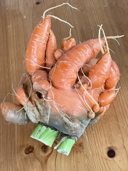 Carrot-zilla! 😱 (light hearted)