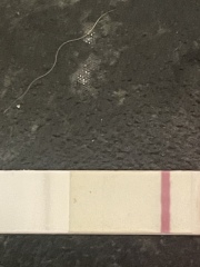 Positive or negative please?