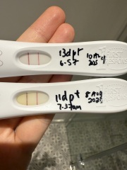 Tests dark but stalling at 11dpt is this normal