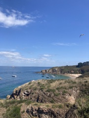 Year round Nigel Slater discussion thread Part 2